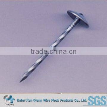 Galvanized Umbrella Head Roofing Nails