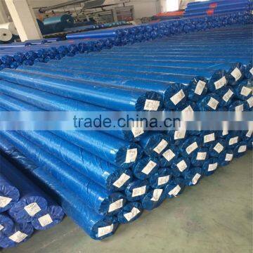 4m Width Blue PE Tarpaulin in Rolls or Sheets / HDPE Tarpaulin (India ) photo-2