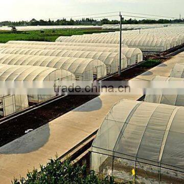 Factory Price Plastic Angricultural Greenhouses For Sale photo-5