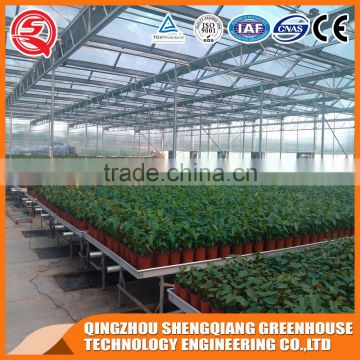 China multi-span glass greenhouse hydroponic systems for agriculture