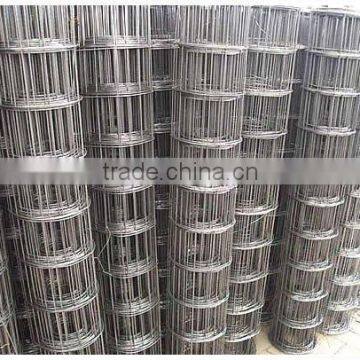 Welded Wire Mesh (factory)