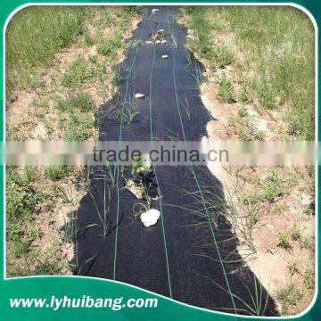105G/M2 Weed Mats / PP Woven Fabrics in Small Rolls photo-2