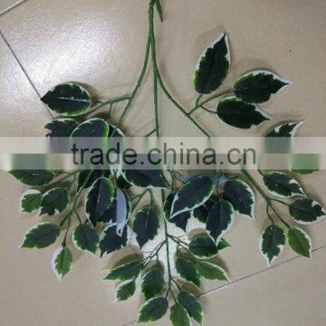 SJ070917cheap ficus bonsai tree branch/dry tree branches