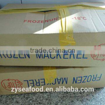 2017 New Arrived Great Pacific Mackerel photo-2