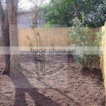 Reed Fence photo-4