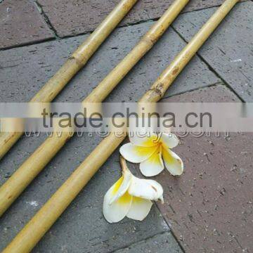 thick wall and strong tonkin bamboo canes for supporting plants at cheap price