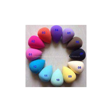 Egg Shaped Makeup Sponge