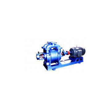 Professional manufacturer of Vacuum Pump