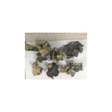 Dried Black FUNGUS Ear Mushroom Ear Wood Auricularia auricula-judae (Jolie Whatsapp viber 84 98 358 7558)