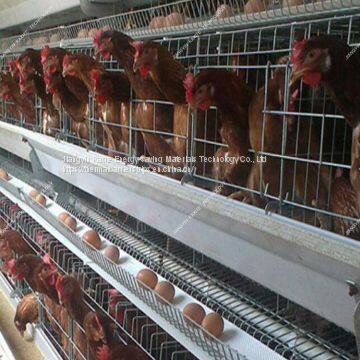 According To Customer Requires PP Glossy White Manure Belt photo-3