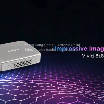 VIVID 818 | GAMING/MOVIE PORTABLE MINI PROJECTOR FOR BIG SCREEN