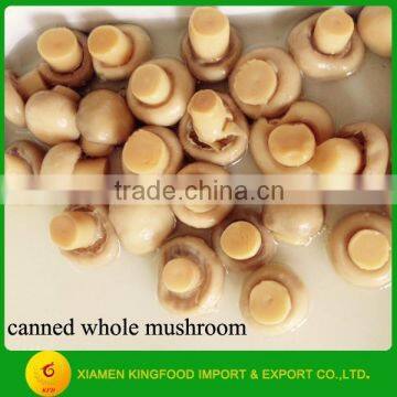 Canned Whole Mushroom in Brine Price