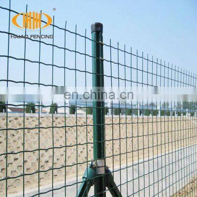 Euro wire fence, holland garden fence roll for sale