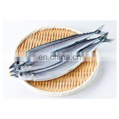 Good Quality Frozen Pacific Saury whole round