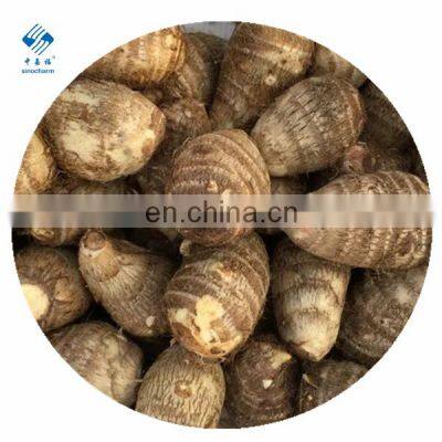 2020 Hot Sale Fresh Vegetable Fresh Taro