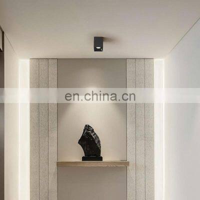 Wholesale DC220-240V Adjustable Pull Out Anti Glare LED Downlight Extension Type Mini Spotlight For Hotel Down Lights photo-5