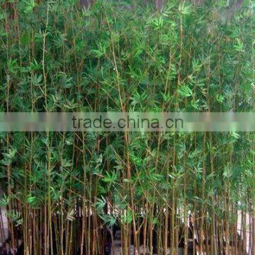 High quality wholesale artificial bamboo