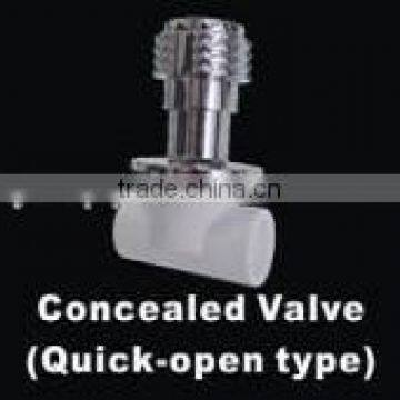 Quick Open Ppr Concealed Valve