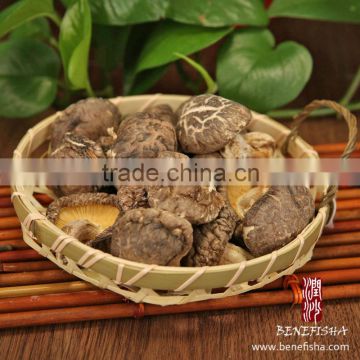 Dried Shiitake Mushroom without Stem(Glossy Surface) Grade C