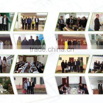 the Prefabicated Modern Modular House/home photo-5