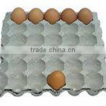 Pulp Egg Tray Making Machine Small Egg Tray Machine photo-4
