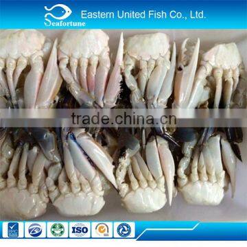 Seafood export frozen cut crab for sale