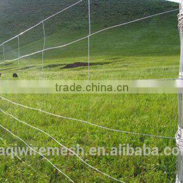 Grassland Fence /Grassland Netting/Grassland wire Mesh for Sale