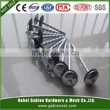 Hot Sale 4"Galvanized roofing nails(Professional Manufacture )