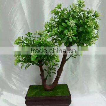 Made in China Mini Home Decoration Plant With Pot for Sale photo-2