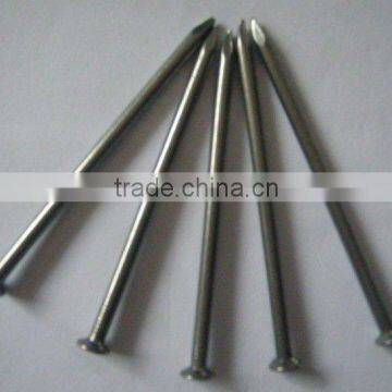 high quality common iron nails