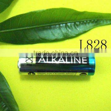 27A 12V L828 V27GA A27 Alkaline Batteries Eunicell