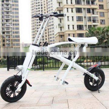 Newest design newest sale eec electric scooter for students