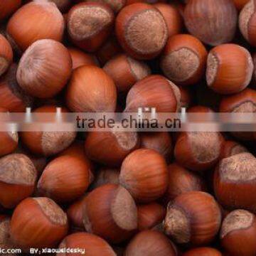 Stainless Steel Chestnut Roasting Machine