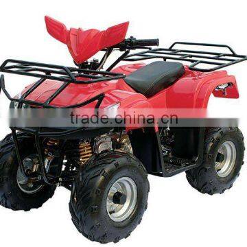 110cc/125cc ATV/QUAD(XW-A23)