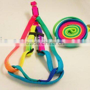 Colorful dog harness