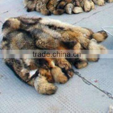 Raccoon Dog Skin