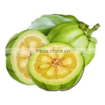 Organic Garcinia Capsules (Used As Slimming Aid) Bulk Exporters
