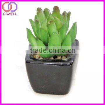 artificial echeveria succulent pot
