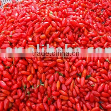 Dried Goji Berry Seed