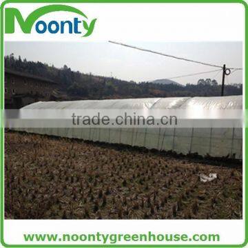 Agricultural Greenhouse photo-6