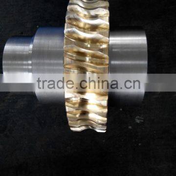 OEM Customized Gear Bronze Brass Worm Gear and Worm Shaft photo-3