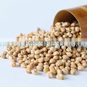 Protein Chickpeas Exporter