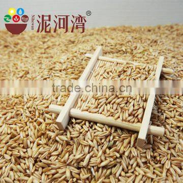 High Quality Chinese Hulled Oats, Naked Oats, Flat Oat Flakes, Rolled Oats Price photo-4