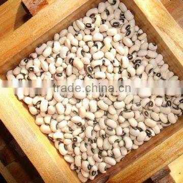 White cowpeas (New crop 2013)