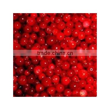 frozen lingonberry