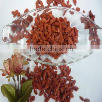 Ningxia 2013 origin jumbo goji berry top quality grade aa