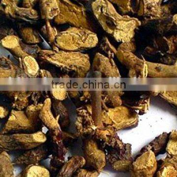 GMP Natural High Quality Epimedium Extract Powder/Icariin photo-3