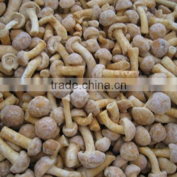 IQF Nameko mushroom 2016 crop