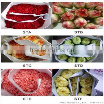 Supply High Quality Long Stem Flowers Fresh Cut Carnation Cut Flower Prices From Kunming Flower Planting Base photo-4