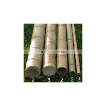 Commercial natural Bamboo pole